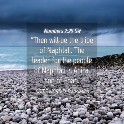 Picture 04 - Numbers 2:29 GW - “Then will be the tribe of Naphtali. The leader - Bible Verse Picture
