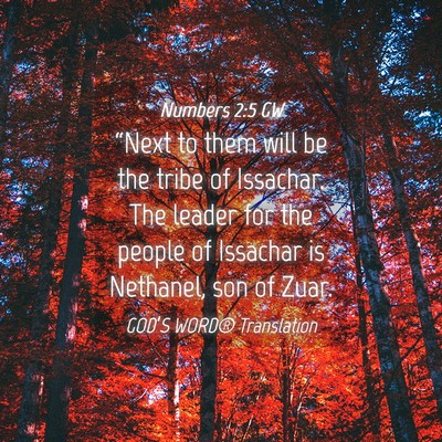 Picture 04 - Numbers 2:5 GW - “Next to them will be the tribe of Issachar. - Bible Verse Picture