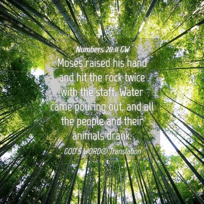 Picture 04 - Numbers 20:11 GW - Moses raised his hand and hit the rock twice with - Bible Verse Picture
