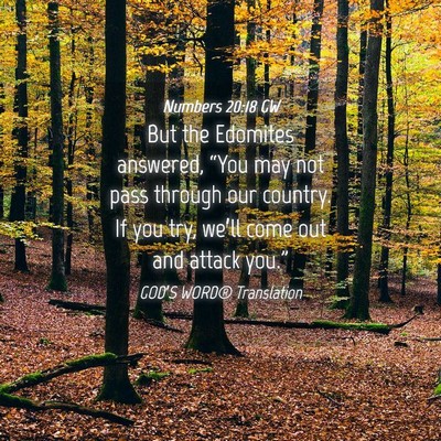 Picture 04 - Numbers 20:18 GW - But the Edomites answered, “You may not pass - Bible Verse Picture