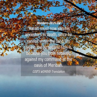 Picture 04 - Numbers 20:24 GW - “Aaron must now join his ancestors in death, - Bible Verse Picture