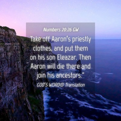 Picture 04 - Numbers 20:26 GW - Take off Aaron’s priestly clothes, and put them - Bible Verse Picture