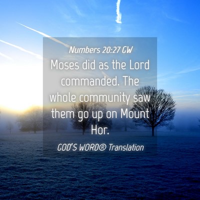 Picture 04 - Numbers 20:27 GW - Moses did as the Lord commanded. The whole - Bible Verse Picture
