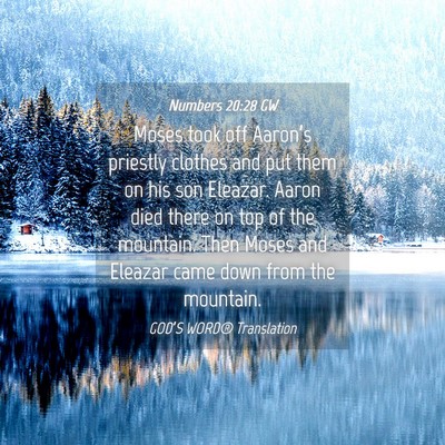 Picture 04 - Numbers 20:28 GW - Moses took off Aaron’s priestly clothes and put - Bible Verse Picture