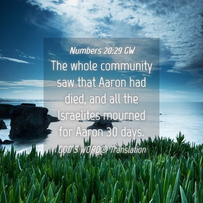 Picture 04 - Numbers 20:29 GW - The whole community saw that Aaron had died, and - Bible Verse Picture