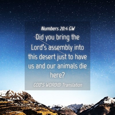 Picture 04 - Numbers 20:4 GW - Did you bring the Lord’s assembly into this - Bible Verse Picture