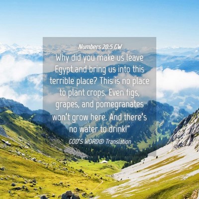 Picture 04 - Numbers 20:5 GW - Why did you make us leave Egypt and bring us into - Bible Verse Picture