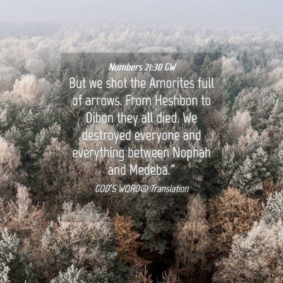 Picture 04 - Numbers 21:30 GW - But we shot the Amorites full of arrows. From - Bible Verse Picture