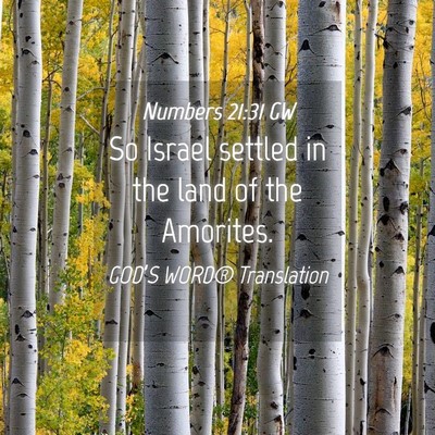 Picture 04 - Numbers 21:31 GW - So Israel settled in the land of the - Bible Verse Picture