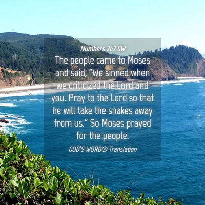 Picture 04 - Numbers 21:7 GW - The people came to Moses and said, “We sinned - Bible Verse Picture