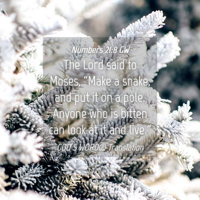 Picture 04 - Numbers 21:8 GW - The Lord said to Moses, “Make a snake, and put - Bible Verse Picture