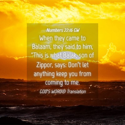 Picture 04 - Numbers 22:16 GW - When they came to Balaam, they said to him, - Bible Verse Picture