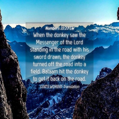 Picture 04 - Numbers 22:23 GW - When the donkey saw the Messenger of the Lord - Bible Verse Picture