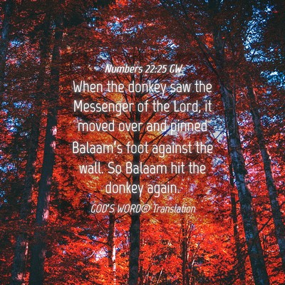 Picture 04 - Numbers 22:25 GW - When the donkey saw the Messenger of the Lord, it - Bible Verse Picture