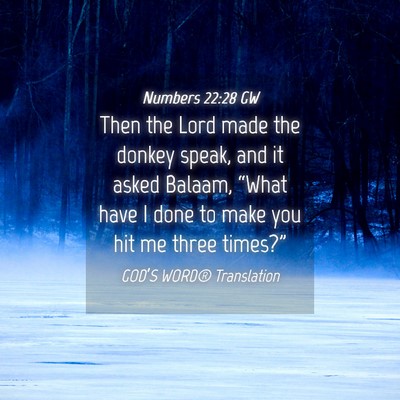 Picture 04 - Numbers 22:28 GW - Then the Lord made the donkey speak, and it asked - Bible Verse Picture