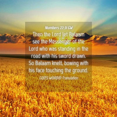 Picture 04 - Numbers 22:31 GW - Then the Lord let Balaam see the Messenger of the - Bible Verse Picture