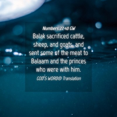Picture 04 - Numbers 22:40 GW - Balak sacrificed cattle, sheep, and goats, and - Bible Verse Picture