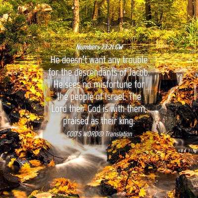 Picture 04 - Numbers 23:21 GW - He doesn’t want any trouble for the descendants - Bible Verse Picture
