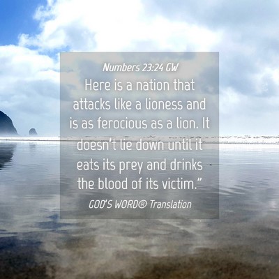 Picture 04 - Numbers 23:24 GW - Here is a nation that attacks like a lioness and - Bible Verse Picture
