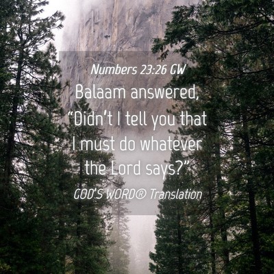 Picture 04 - Numbers 23:26 GW - Balaam answered, “Didn’t I tell you that I - Bible Verse Picture