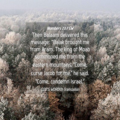 Picture 04 - Numbers 23:7 GW - Then Balaam delivered this message: “Balak - Bible Verse Picture