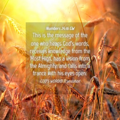 Picture 04 - Numbers 24:16 GW - This is the message of the one who hears God’s - Bible Verse Picture