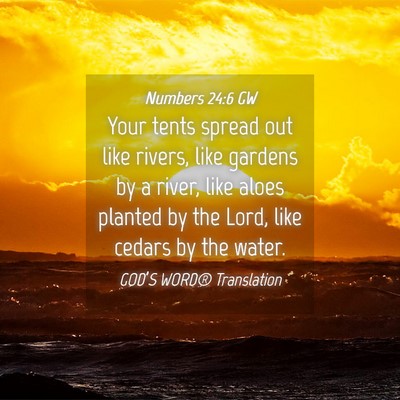 Picture 04 - Numbers 24:6 GW - Your tents spread out like rivers, like gardens - Bible Verse Picture