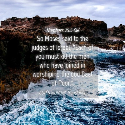 Picture 04 - Numbers 25:5 GW - So Moses said to the judges of Israel, “Each of - Bible Verse Picture