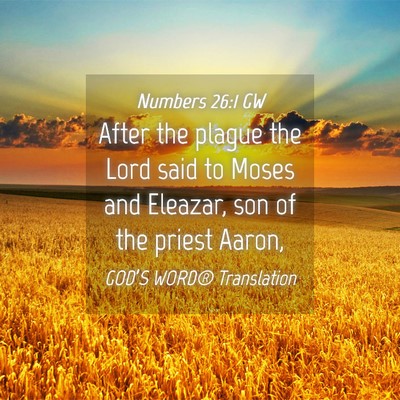 Picture 04 - Numbers 26:1 GW - After the plague the Lord said to Moses and - Bible Verse Picture