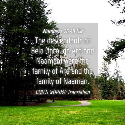 Picture 04 - Numbers 26:40 GW - The descendants of Bela (through Ard and Naaman) - Bible Verse Picture