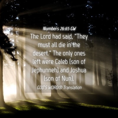 Picture 04 - Numbers 26:65 GW - The Lord had said, “They must all die in the - Bible Verse Picture