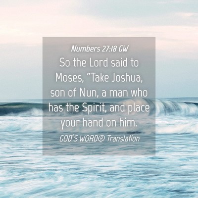 Picture 04 - Numbers 27:18 GW - So the Lord said to Moses, “Take Joshua, son of - Bible Verse Picture