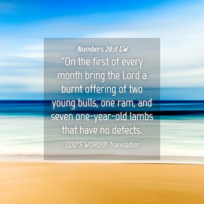 Picture 04 - Numbers 28:11 GW - “On the first of every month bring the Lord a - Bible Verse Picture