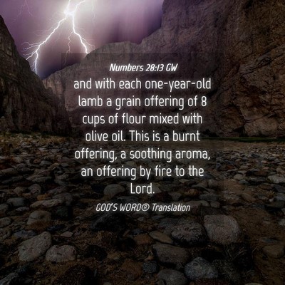 Picture 04 - Numbers 28:13 GW - and with each one-year-old lamb a grain offering - Bible Verse Picture