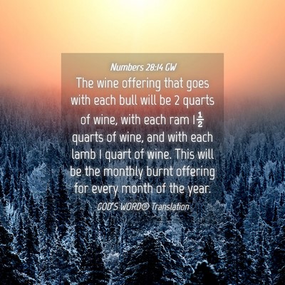 Picture 04 - Numbers 28:14 GW - The wine offering that goes with each bull will - Bible Verse Picture