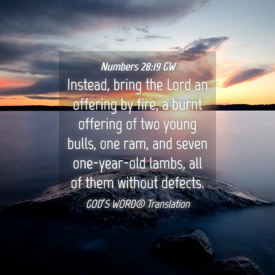 Picture 04 - Numbers 28:19 GW - Instead, bring the Lord an offering by fire, a - Bible Verse Picture