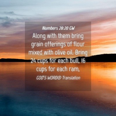 Picture 04 - Numbers 28:20 GW - Along with them bring grain offerings of flour - Bible Verse Picture