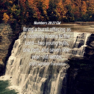 Picture 04 - Numbers 28:27 GW - Bring a burnt offering as a soothing aroma to the - Bible Verse Picture