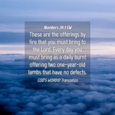 Picture 04 - Numbers 28:3 GW - These are the offerings by fire that you must - Bible Verse Picture