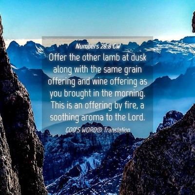 Picture 04 - Numbers 28:8 GW - Offer the other lamb at dusk along with the same - Bible Verse Picture