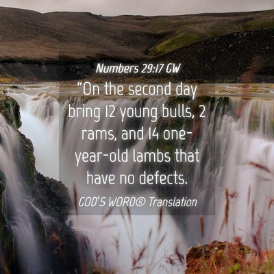 Picture 04 - Numbers 29:17 GW - “On the second day bring 12 young bulls, 2 - Bible Verse Picture