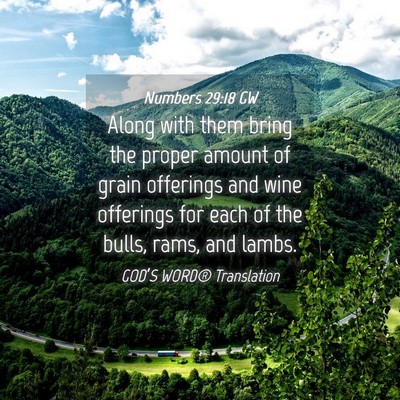 Picture 04 - Numbers 29:18 GW - Along with them bring the proper amount of grain - Bible Verse Picture