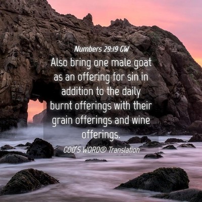 Picture 04 - Numbers 29:19 GW - Also bring one male goat as an offering for sin - Bible Verse Picture