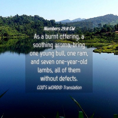 Picture 04 - Numbers 29:8 GW - As a burnt offering, a soothing aroma, bring one - Bible Verse Picture