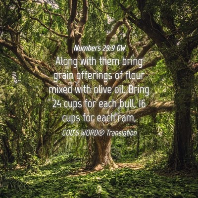 Picture 04 - Numbers 29:9 GW - Along with them bring grain offerings of flour - Bible Verse Picture