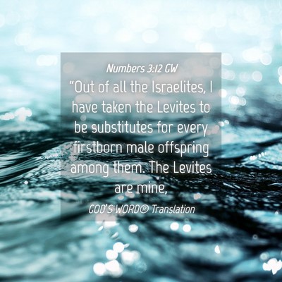 Picture 04 - Numbers 3:12 GW - “Out of all the Israelites, I have taken the - Bible Verse Picture