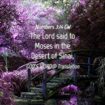 Picture 04 - Numbers 3:14 GW - The Lord said to Moses in the Desert of - Bible Verse Picture