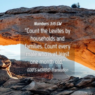 Picture 04 - Numbers 3:15 GW - “Count the Levites by households and families. - Bible Verse Picture