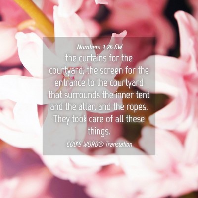 Picture 04 - Numbers 3:26 GW - the curtains for the courtyard, the screen for - Bible Verse Picture
