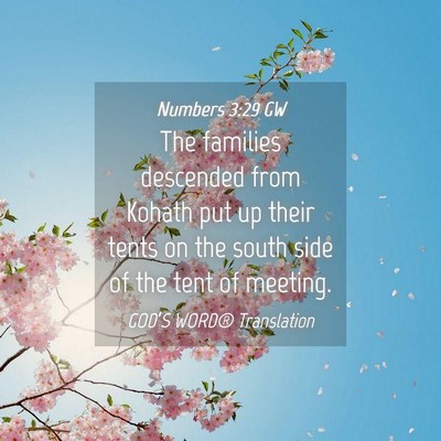 Picture 04 - Numbers 3:29 GW - The families descended from Kohath put up their - Bible Verse Picture